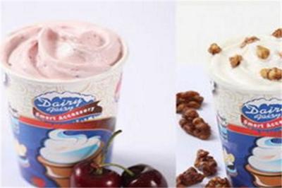 DF冰雪精灵冰淇淋加盟 开启甜蜜事业的黄金选择